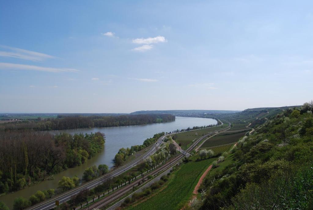 Landhotel St. Gereon Nackenheim Екстер'єр фото